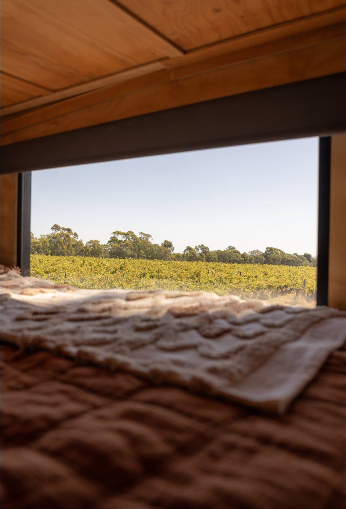 Cabin Chloé