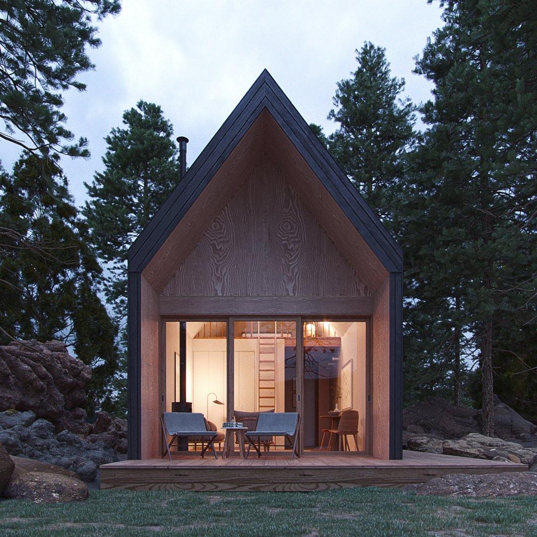 Alpine Modern Cabin